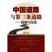 中国道路与第三条道路：比较与反思