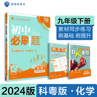 2024版理想树初中必刷题九年级下册 化学 课本同步练习题 科粤版