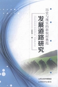 历史与现实的新农村典范发展道路研究