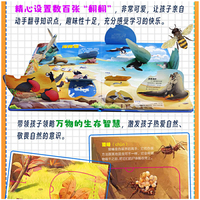 万物百科密码系列—海洋密码：辽阔的海洋