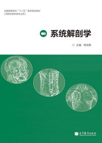 系统解剖学-(供相关医学类专业用)