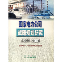 国家电力公司战略规划研究(1999-2001)