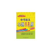 中考语文小题狂做(提优版)