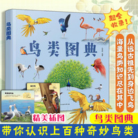 鸟类图典