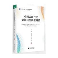 中国式现代化能源转型典型路径