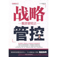 集团管控之战略管控