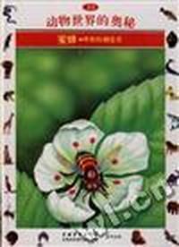 蜜蜂--蜂蜜的造者(22)