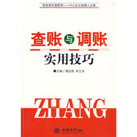 查账与调账实用技巧(潘远湘)
