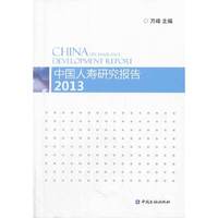 2013-中国人寿研究报告