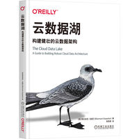 云数据湖：构建健壮的云数据架构   [美]鲁克米尼·戈帕兰