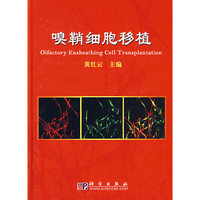 嗅鞘细胞移植