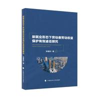 新就业形态下劳动者劳动权益保护有效途径探究 孙蕾扬著