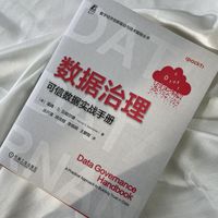 数据治理：可信数据实战手册  [美]温迪 · S. 贝彻尔德     数据处理 数据安全
