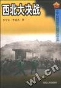 西北大决战