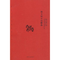 郭文斌小说精选