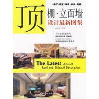 顶棚.立面墙设计最新图集