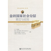 金砖国家社会分层变迁与比较