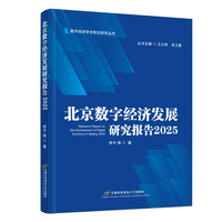 北京数字经济发展研究报告2025