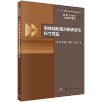 岩体结构面形貌表征与尺寸效应