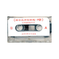 九年级英语（R）下：综合应用创新题.典点