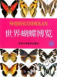 世界蝴蝶博览