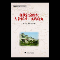 现代社会组织与社区社工实践研究