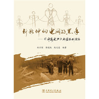 斩断伸向电网的黑手-《平安电力》典型案例选编