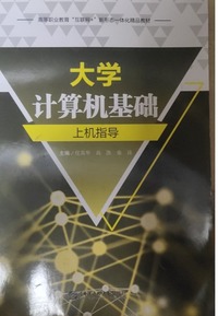 大学计算机上机指导