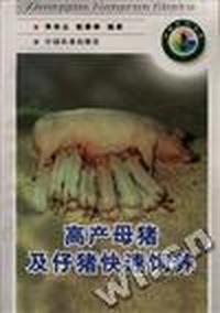 高产母猪及仔猪快速饲养