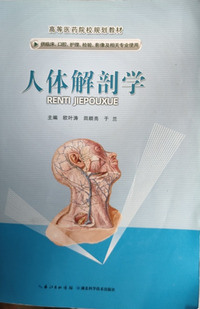 人体解剖学