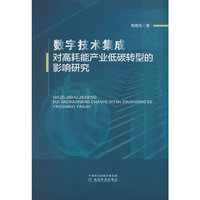 数字技术集成对高耗能产业低碳转型的影响研究