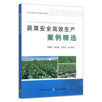 蔬菜安全高效生产案例精选