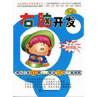 左右脑智力开发阶梯丛书--右脑开发(7～8岁)