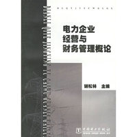 电力企业经营与财务管理概论