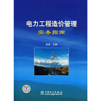 电力工程造价管理实务指南