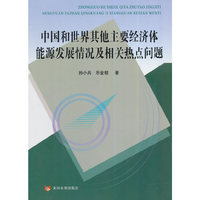 中国和世界其他主要经济体能源发展情况及相关热点问题
