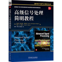 高级信号处理简明教程    [美]阿米尔-霍马温·纳吉米   [美]托德·K. 穆恩    电气工程 物理 计算机和数据科学