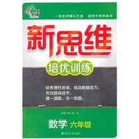 数学-六年级-新思维培优训练