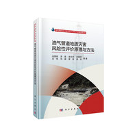 油气管道地质灾害风险评价原理与方法