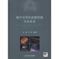 超声引导经皮肺穿刺活检图谱