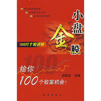 小盘金股(100只个股剖析)