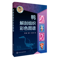 鸭解剖组织彩色图谱