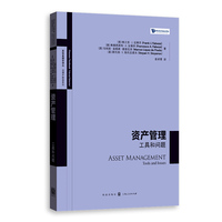 资产管理:工具和问题(高级金融学译丛)