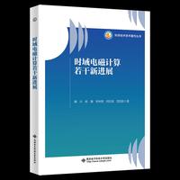 时域电磁计算若干新进展