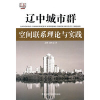 辽中城市群空间联系理论与实践