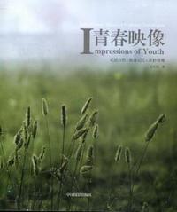 青春映像