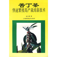 苦丁茶快速繁殖高产栽培新技术