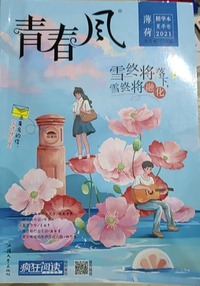 青春风  薄荷