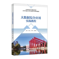 大数据综合应用实践教程