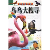 动物真奇妙-鸟鸟大搜寻(动物真奇妙)